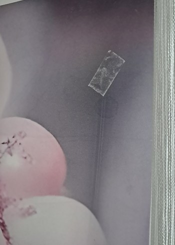 Pembe Parti Dekorasyonu Balon ve Kelebekler - Görsel 3