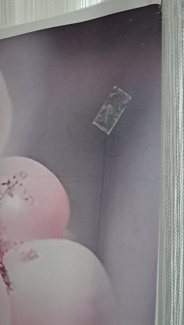 Pembe Parti Dekorasyonu Balon ve Kelebekler - Görsel 3