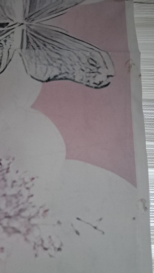 Pembe Parti Dekorasyonu Balon ve Kelebekler - Görsel 4