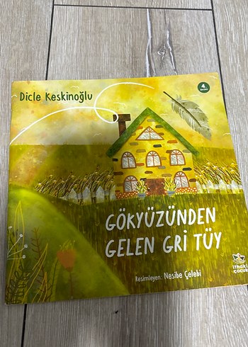 Gökyüzünden Gelen Gri Tüy - Çocuk Kitabı