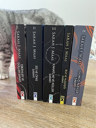 Dikenler ve Güller Sarayı Sarah J maas
