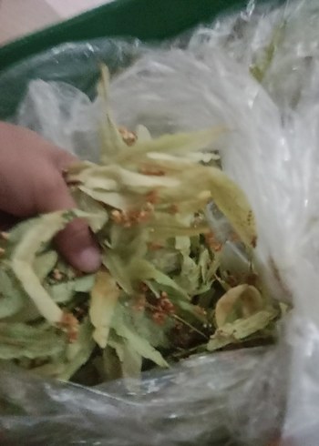Beden Yeşil Doğal Gıda