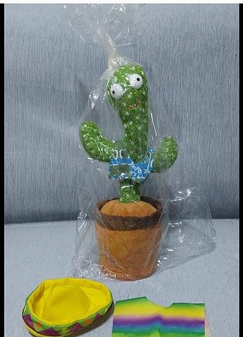 Dans Eden kaktüs şarjlı