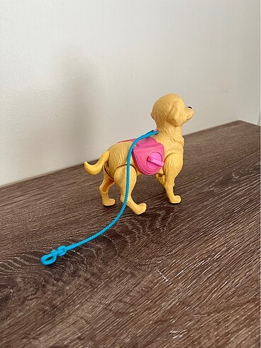 Beden Orijinal Barbie?nin köpeği