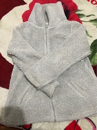 Polar