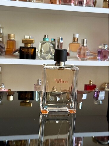 Hermes terre 100 ml edt