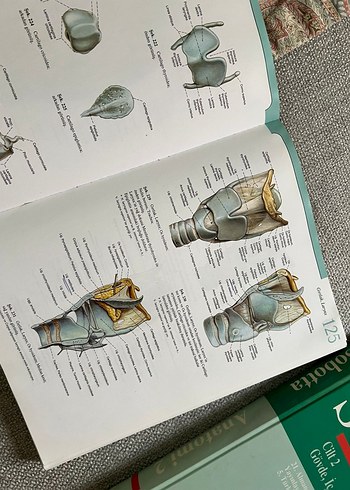 Beden İnsan Anatomisi Sağlık Kitabı sabotta 1 ve 2