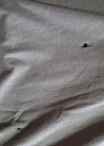 Gri Lastikli Çarşaf - Görsel 4