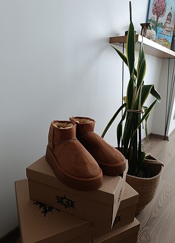 Ugg UGG tarçın bot 