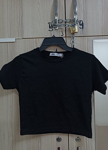 m Beden çeşitli Renk Zara tshirt