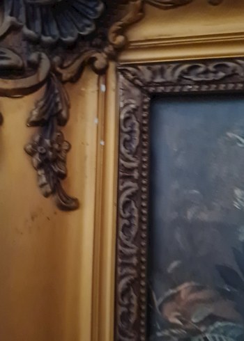 Diger Altın Renkli Koyu Çiçekli Çerçeve - Görsel 15