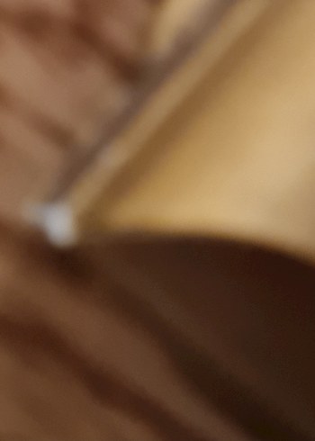 Diger Altın Renkli Koyu Çiçekli Çerçeve - Görsel 16