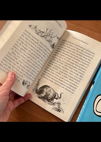 Narnia Günlükleri ve Mucize Kitap Seti - Görsel 4