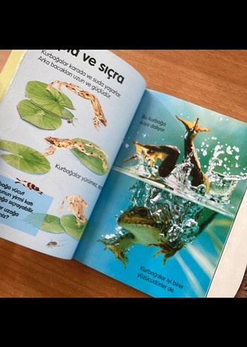 Çocuklar için Kurbağalar ve La Fontaine Masalları - Görsel 4