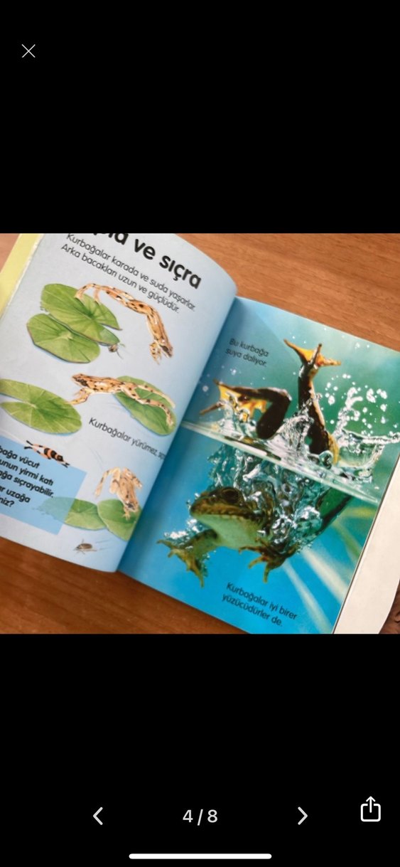 Çocuklar için Kurbağalar ve La Fontaine Masalları - Görsel 4