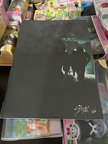 Stray Kids I am Not Albüm