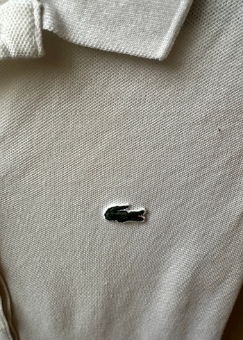xs Beden Orjinal lacoste polo yaka