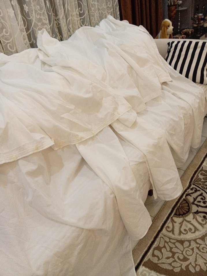 iki adet güneşlik perde - Görsel 2