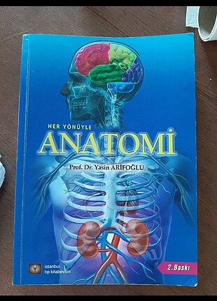 Her yönüyle anatomi