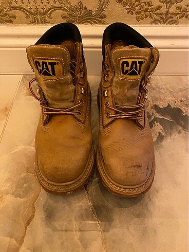 Cat bot