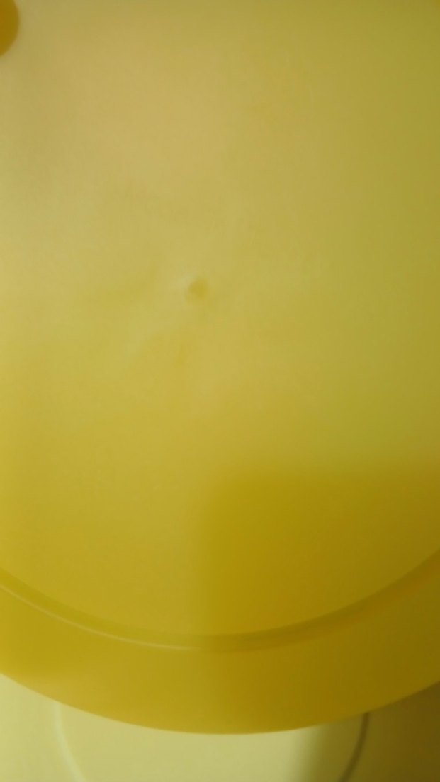 Sarı Kapaklı Plastik Saklama Kapları Seti - Görsel 5