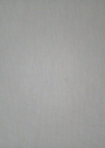 DeFacto Beyaz V Yak slim fitTişört - Görsel 4