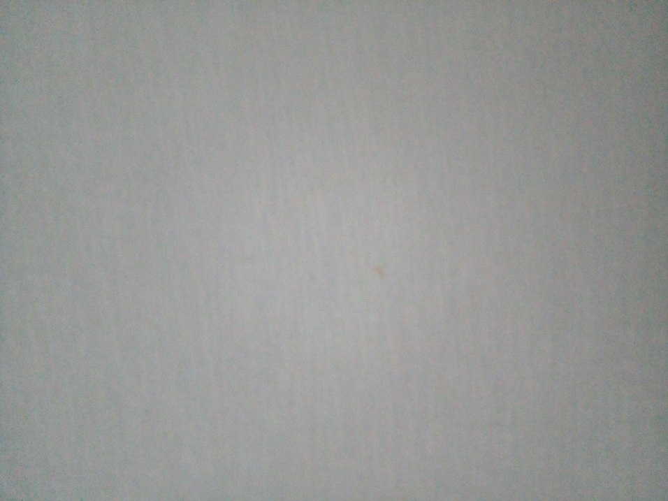 DeFacto Beyaz V Yak slim fitTişört - Görsel 4