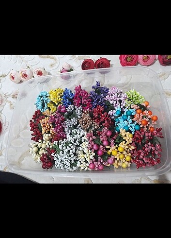  Beden Tomurcuk çeşitli çiçekler