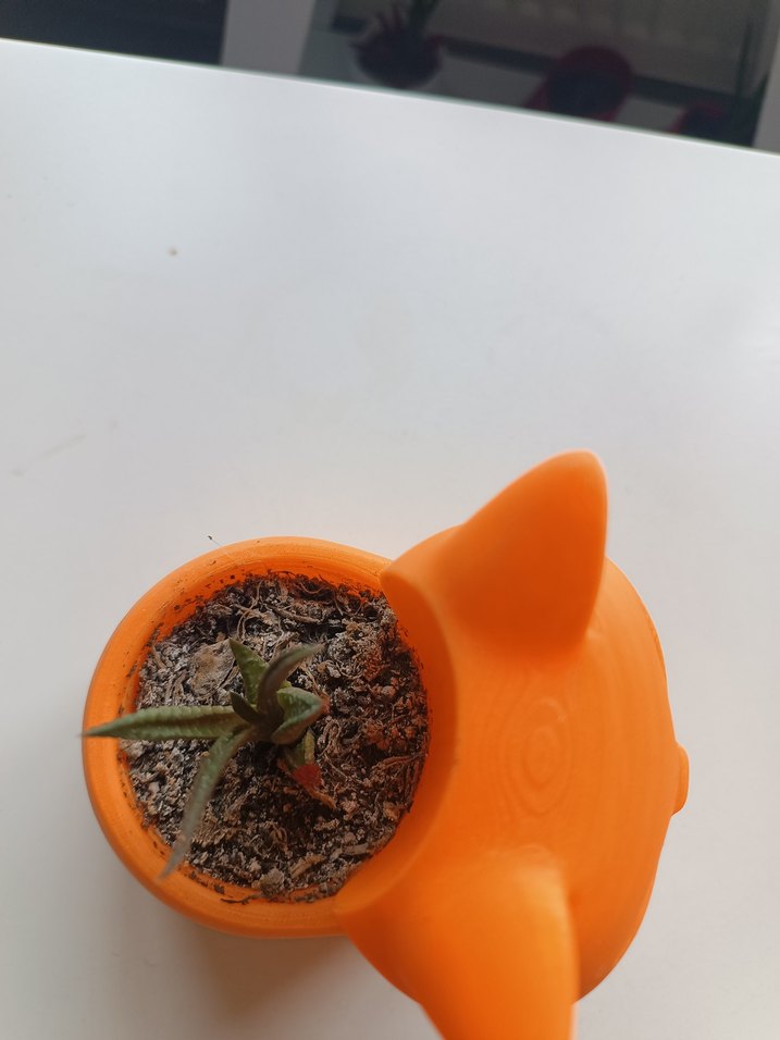 Turuncu Kedi Figürlü Saksı - Görsel 3