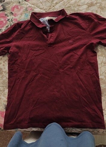 lacoste t-shirt bordo