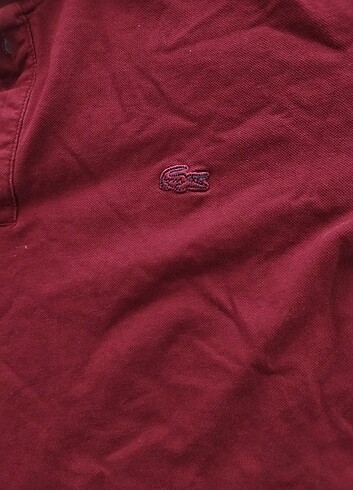 s Beden lacoste t-shirt bordo