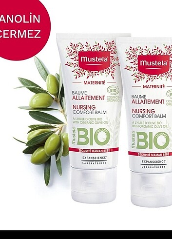 Mustela Mustela göğüs ucu kremi