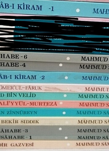 Mahmut Sami Ramazanoglu kitapları 