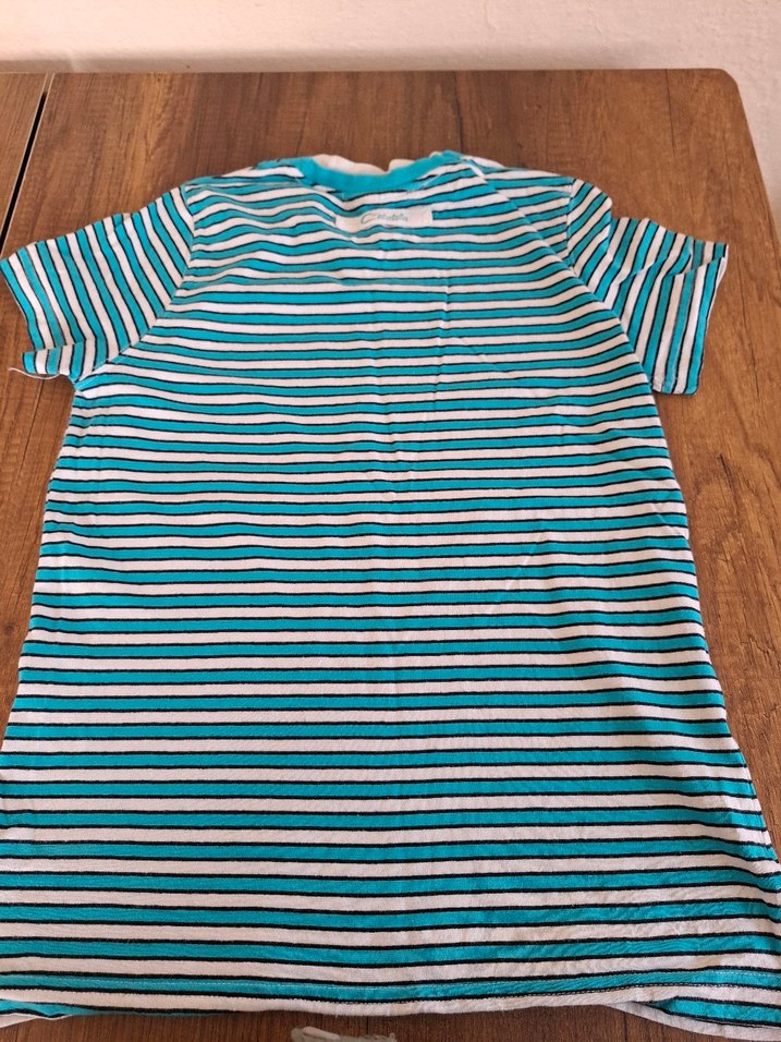 Erkek Mavi Çizgili Kısa Kollu Tişört - Görsel 2