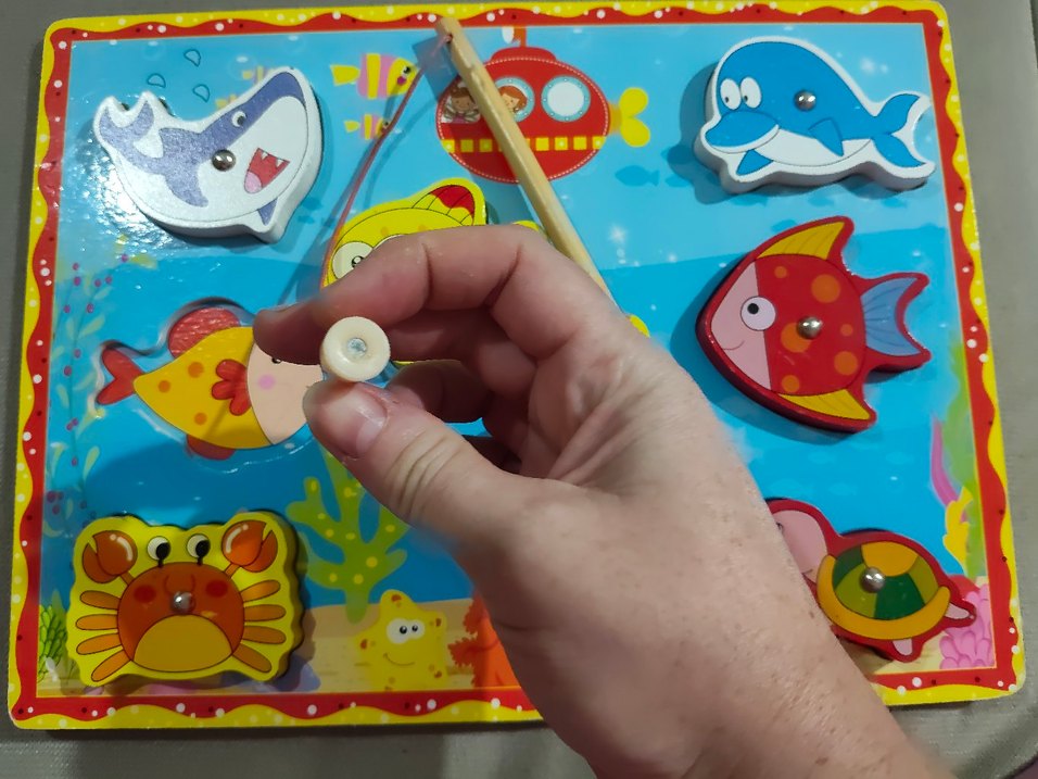 Ahşap Balık Tutma - Görsel 3