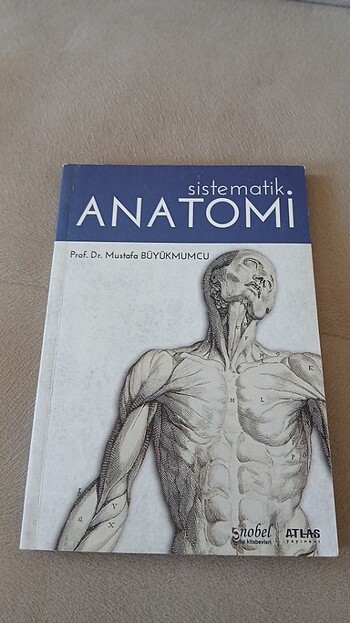 Sistematik anatomi 
