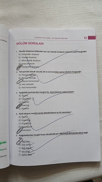  Beden Sistematik anatomi 