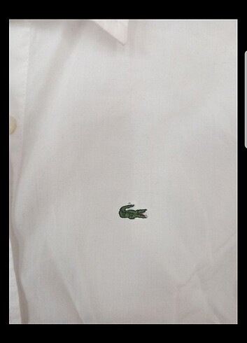 m Beden beyaz Renk Orjinal lacoste gömlek 