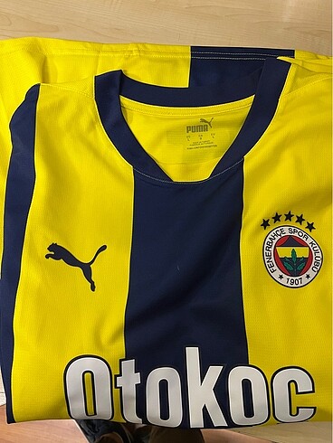 Fenerbahçe 2024 Çubuklu Forma