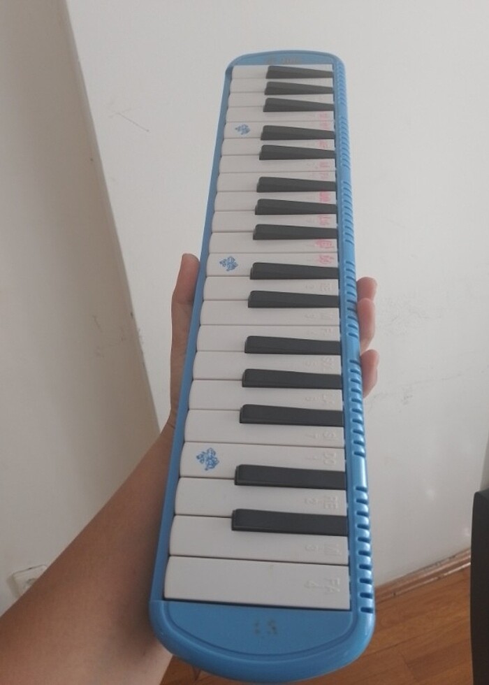 BÜYÜK boy melodika - Görsel 3