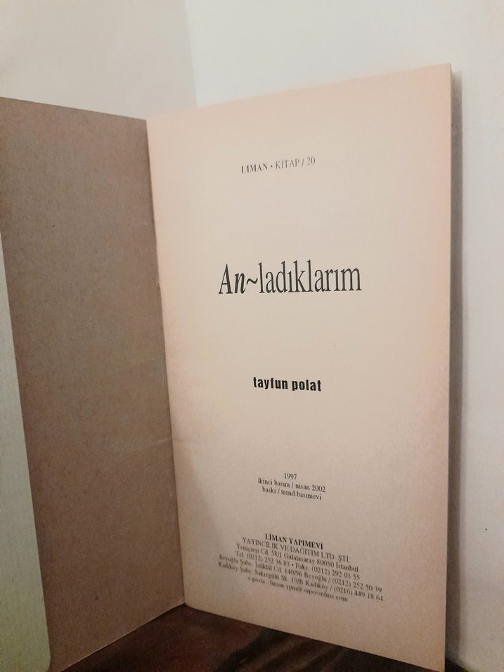 Anladıklarım - Tayfun Polat - Görsel 4