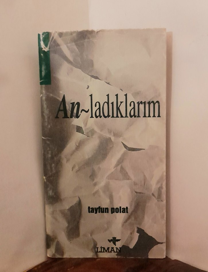 Anladıklarım - Tayfun Polat - Görsel 3