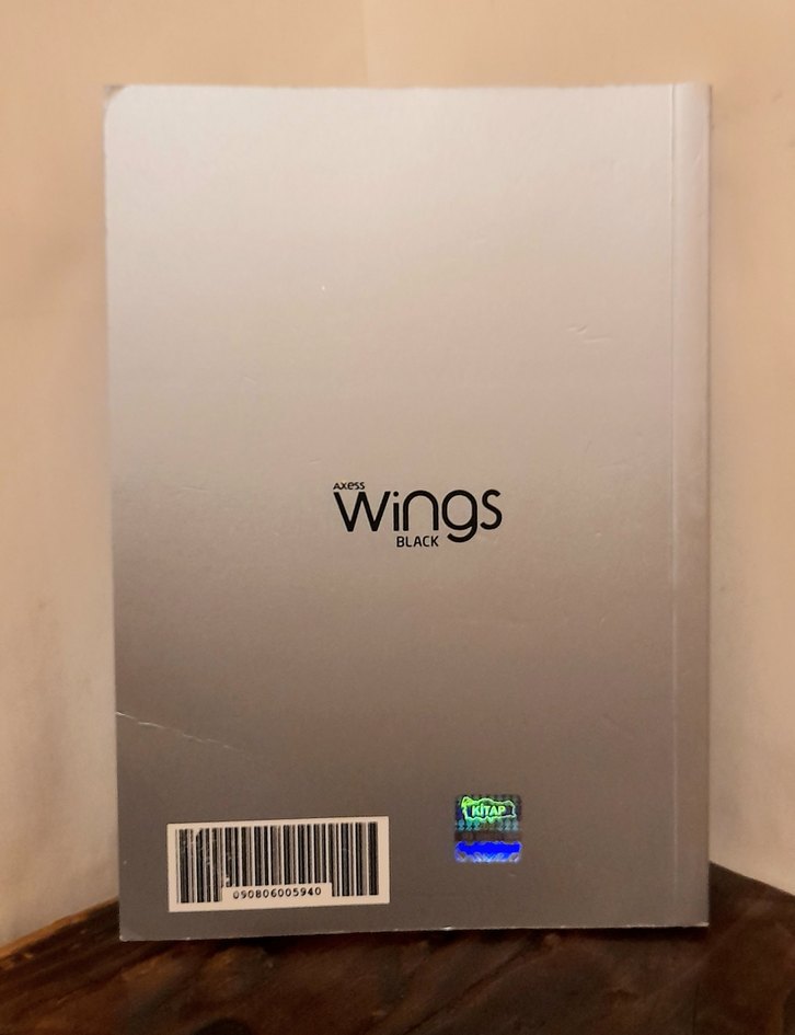 Dünyada Yapılacak Şey - Osman Faruk Öztürk - Görsel 2