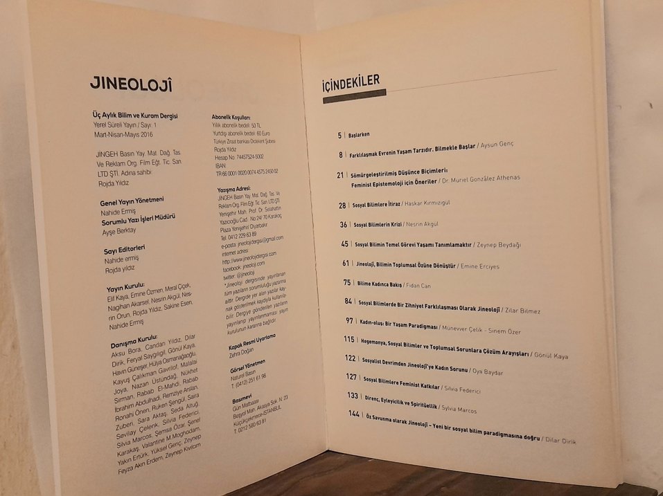 Jineoloji Dergisi - Sosyal Bilimlerin Krizi - Görsel 3