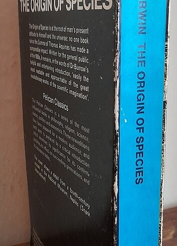 Beden Renk The Origin of Species/ Charles Darwin