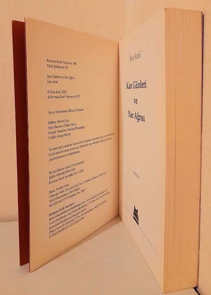 Kan Günleri ve Nar Ağrısı - İnci Aral - Görsel 4