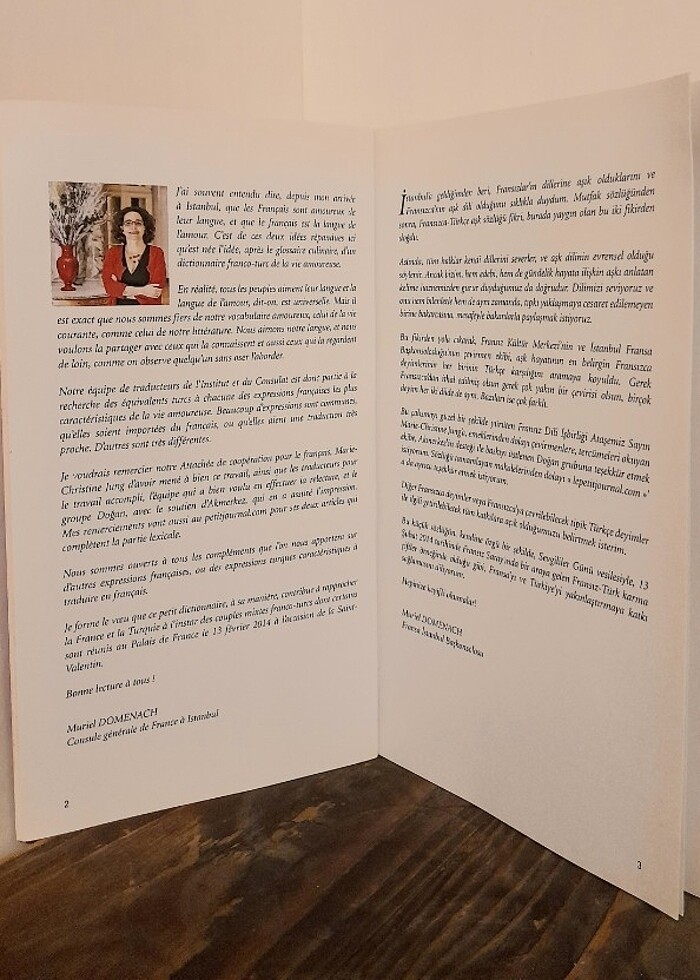 Aşk - ı Hayat Sözlüğü Türkçe / Fransızca - Görsel 3