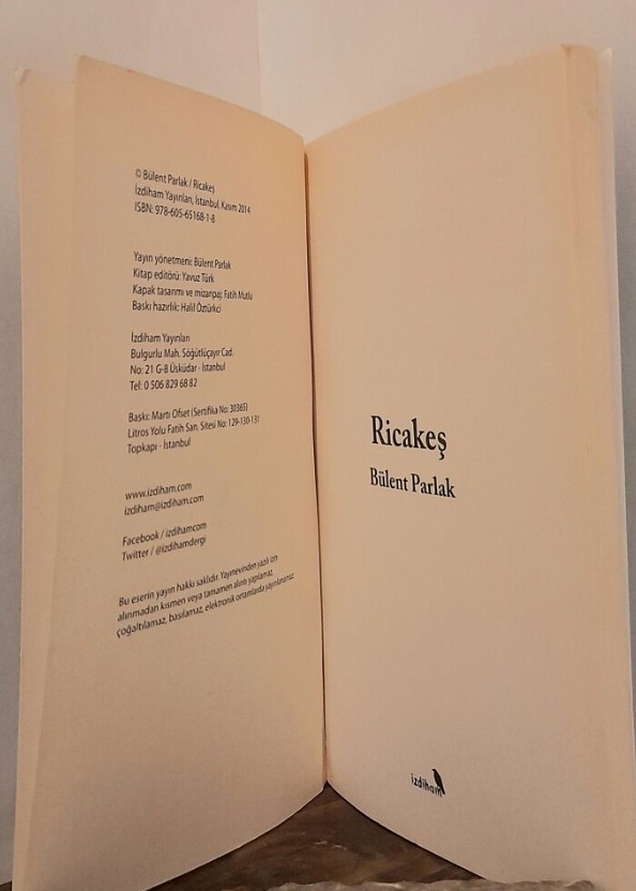 Ricakeş - Bülent Parlak - Görsel 3