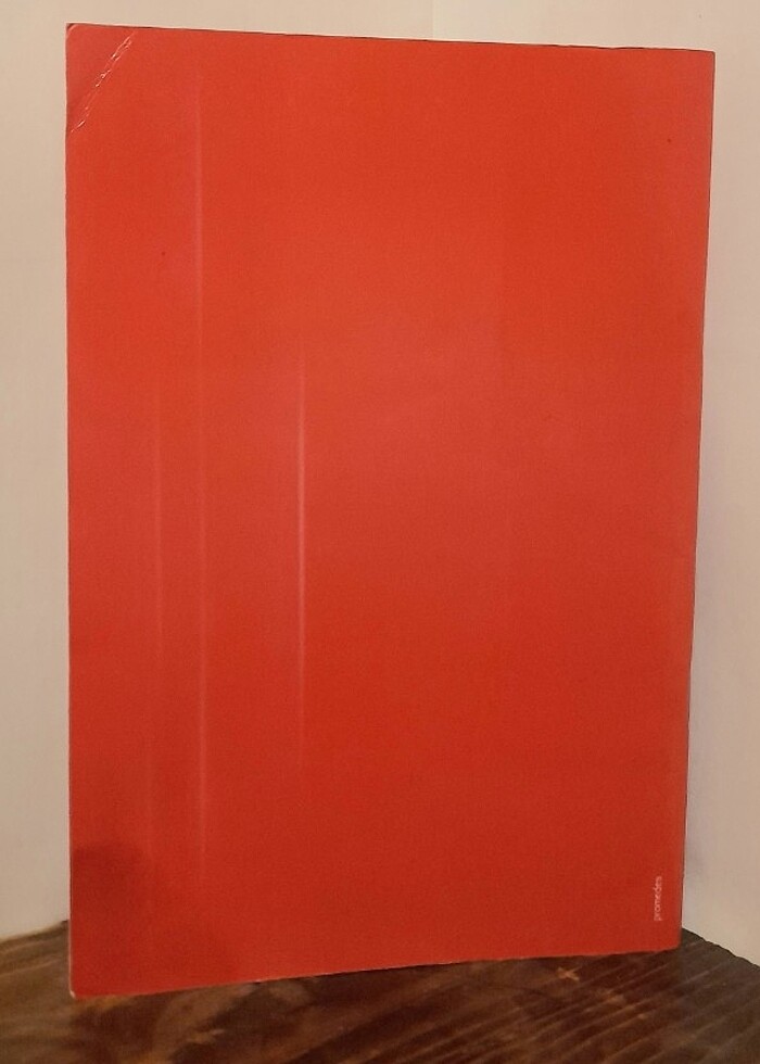 Şizofreni Dostları Derneği - Şiirler - Görsel 2