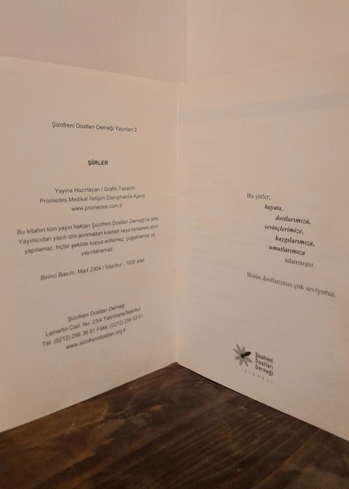 Şizofreni Dostları Derneği - Şiirler - Görsel 4